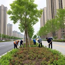 园林管理问题严重影响城市形象，亟待寻找解决方案