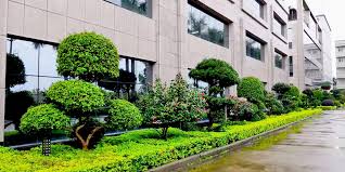 松原市绿化工程公司有几家